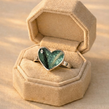 Anillo Ursa Plata 925